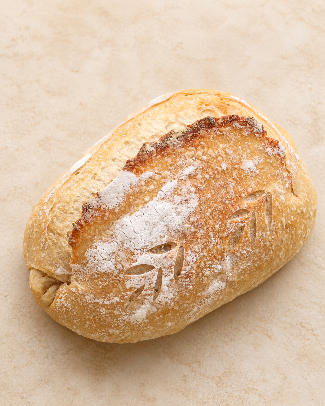 SOURDOUGH WHITE
